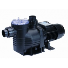 Waterco Aquamite Poolpumpe  Bild 1