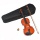 Ts-ideen 1400 4/4 Violine Geige Bild 1