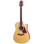 Crafter DE-6 N Dreadnought Electro-Akustikgitarre Bild 1