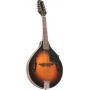  Kentucky KM-140 A Mandolin Bild 1