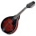 Tenson Folk-Mandoline A-1E Bild 1